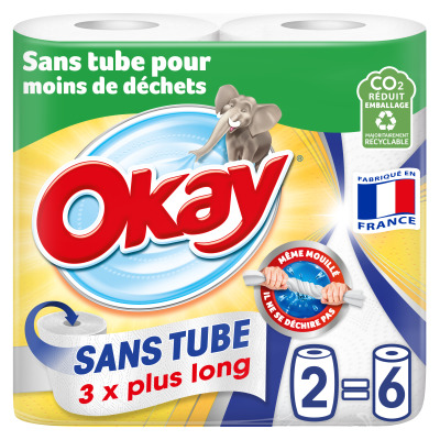 Okay essuie tout sans tube x2
